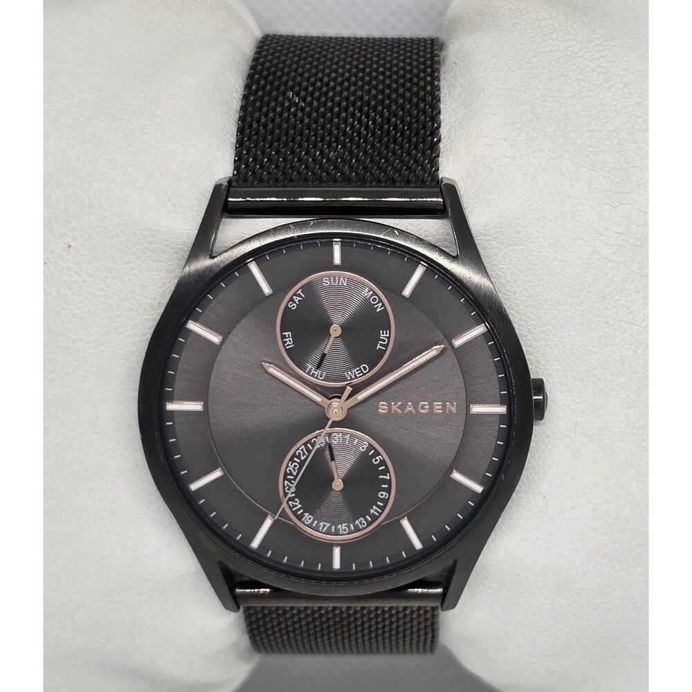 Men's Skagen Holst Day Date Gray Dial Steel Mesh Band Watch SKW6180 13